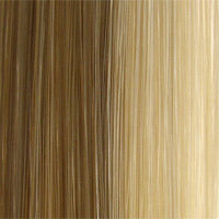504 Anemone: Synthetic Wig by WIGPRO