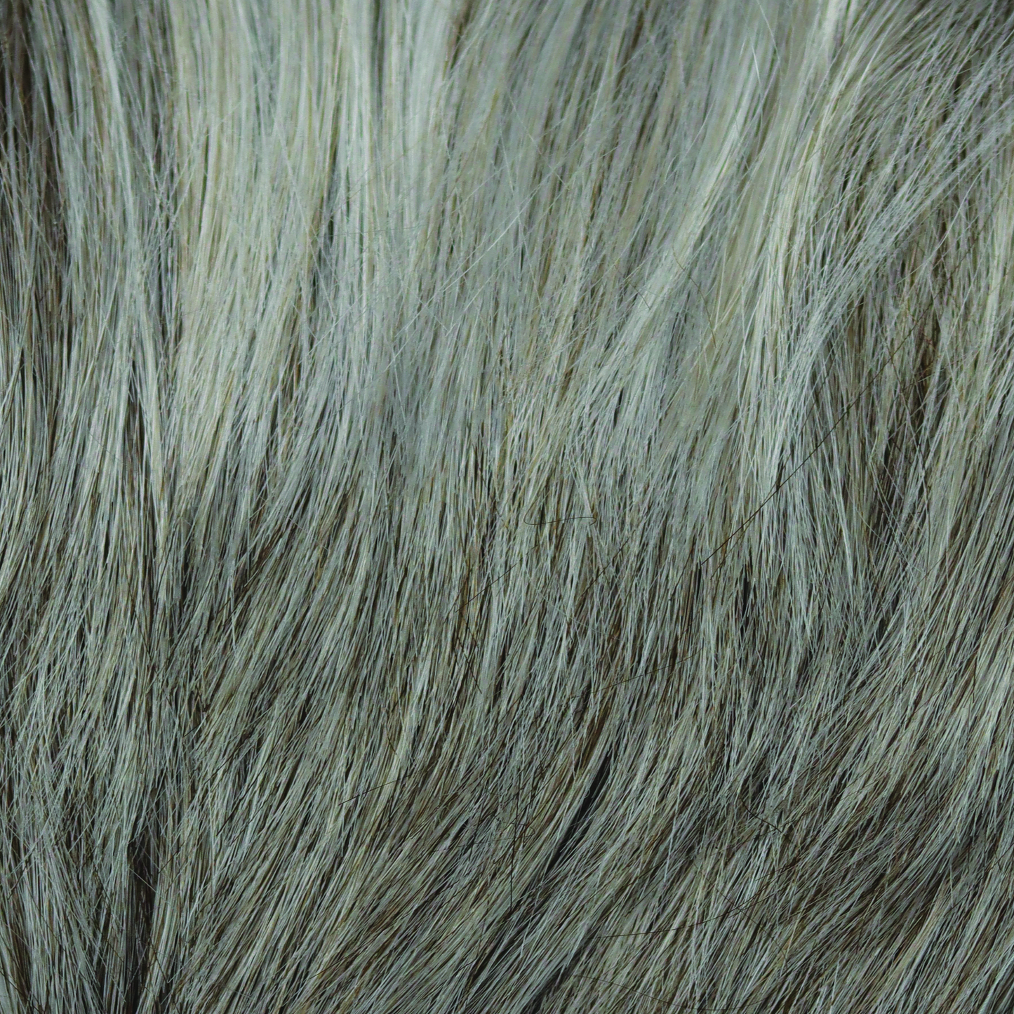 Silver Frost - A silvery white and creamy white and features well-balanced white highlights in front.