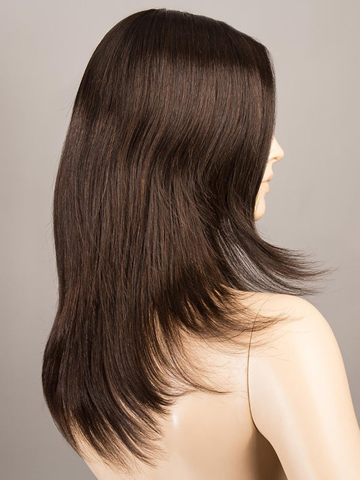 SPECTRA by ELLEN WILLE in ESPRESSO MIX 2.4 | Black, Dark Brown, and Darkest Brown Blend