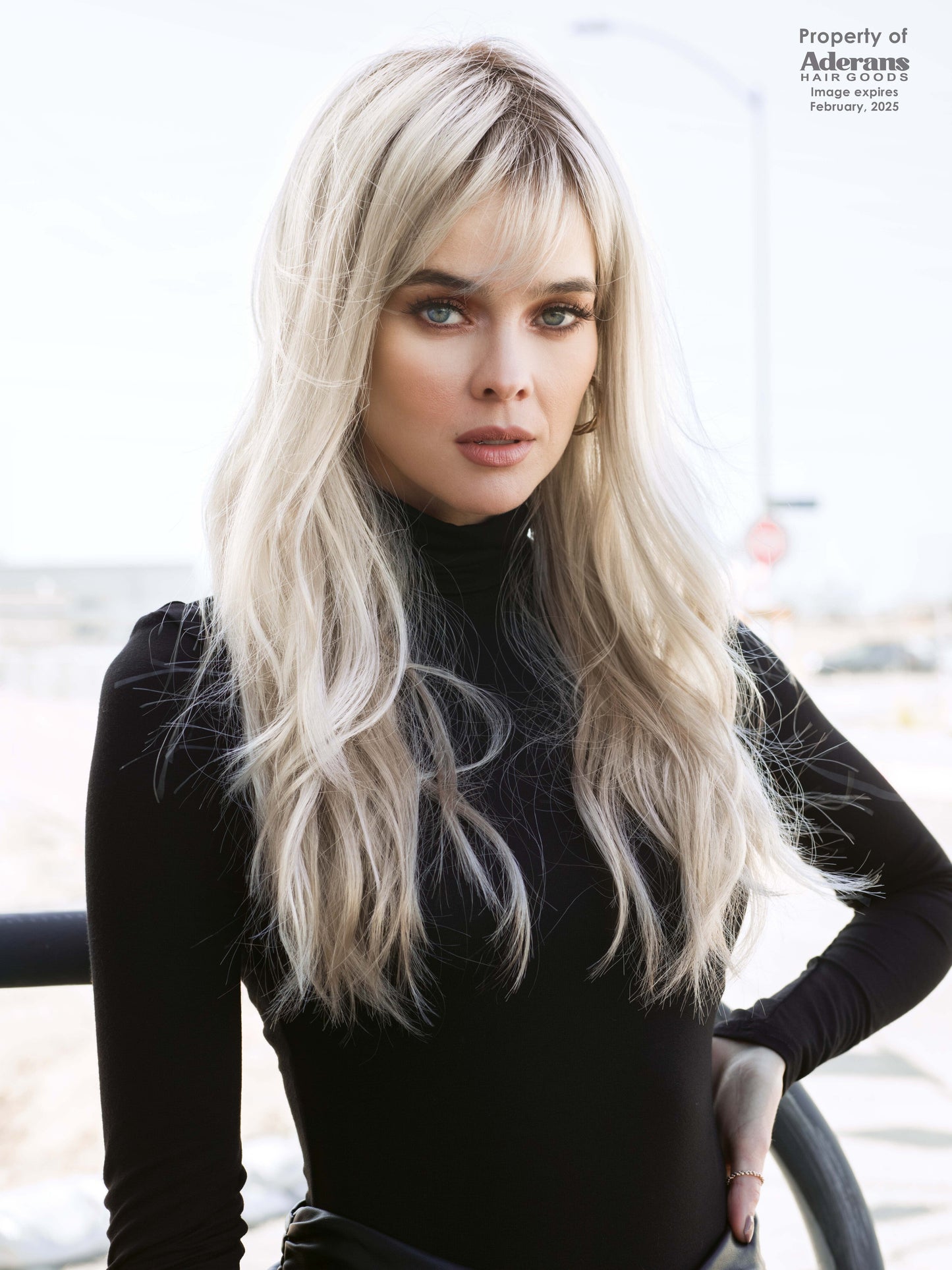 Wren Wig - 2401