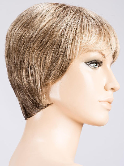 DARK SAND MIX 14.22.12 | Lightest Brown and Medium Ash Blonde blend 