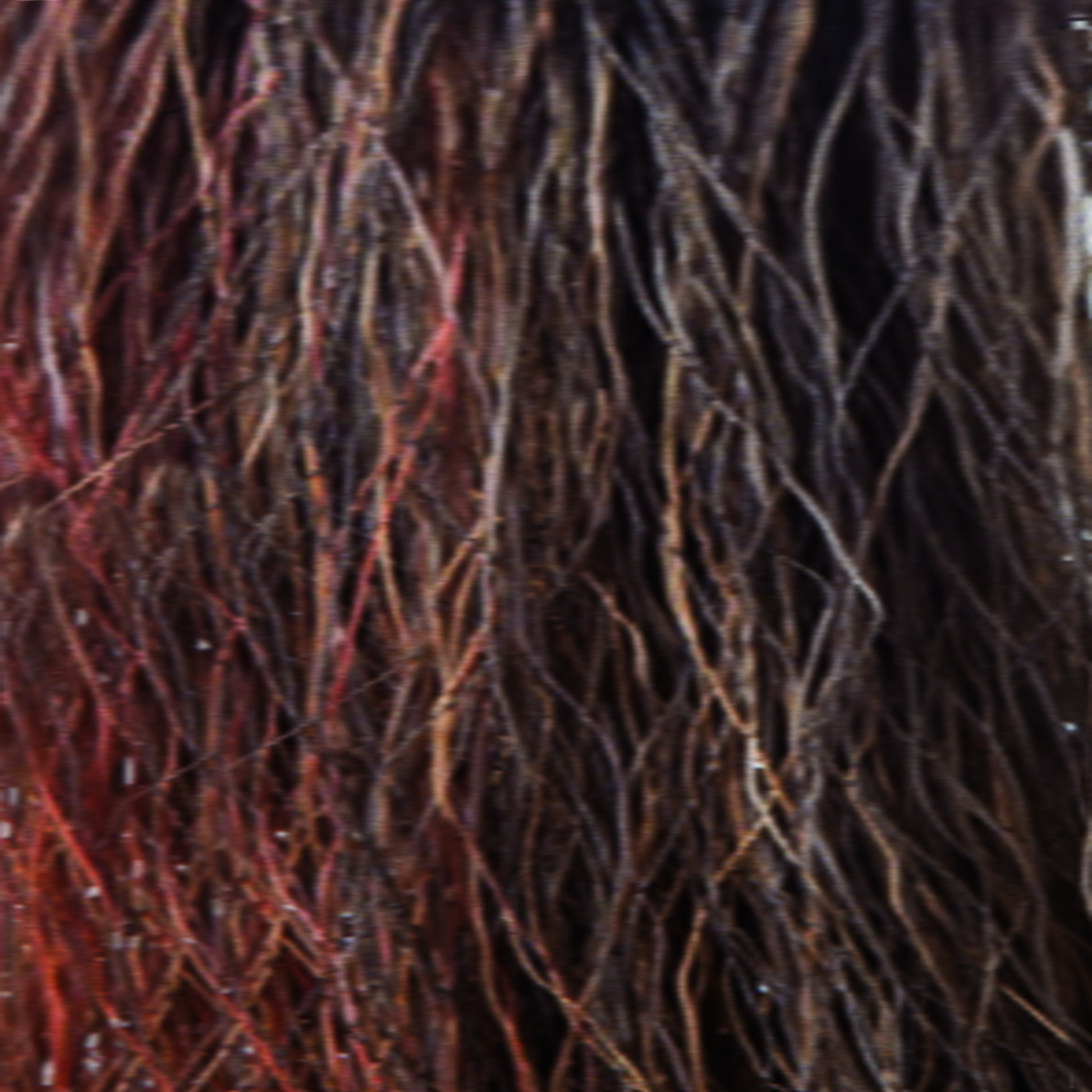 Burnt Sienna-R  -  This dark red rooted color is simply stunning! In this color we see very fine weaves of desert red, tones of chocolate and rusty reds. Burnt Sienna-R is irresistibly beautiful!