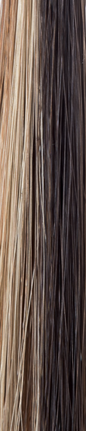 Chocolate Swirl  -  A Cappucino-base, with a mix of honey brown and medium yellow blonde highlights. It features a nice balance of tastefully placed highlights, giving a smooth, decadent look!